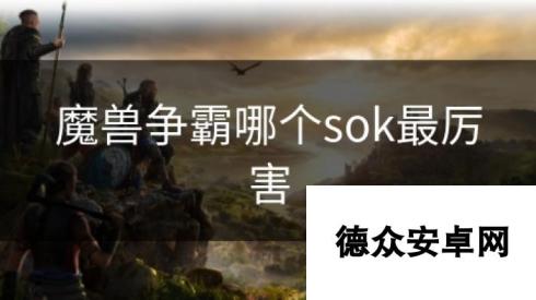 魔兽争霸哪个sok最厉害